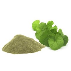 Brahmi Powder 100% Natural Herbal Powder Premium Quality Fresh Pack 250gm