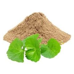 Brahmi Powder 100% Natural Herbal Powder Premium Quality Fresh Pack 250gm