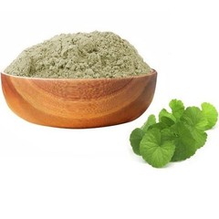 Brahmi Powder 100% Natural Herbal Powder Premium Quality Fresh Pack 250gm