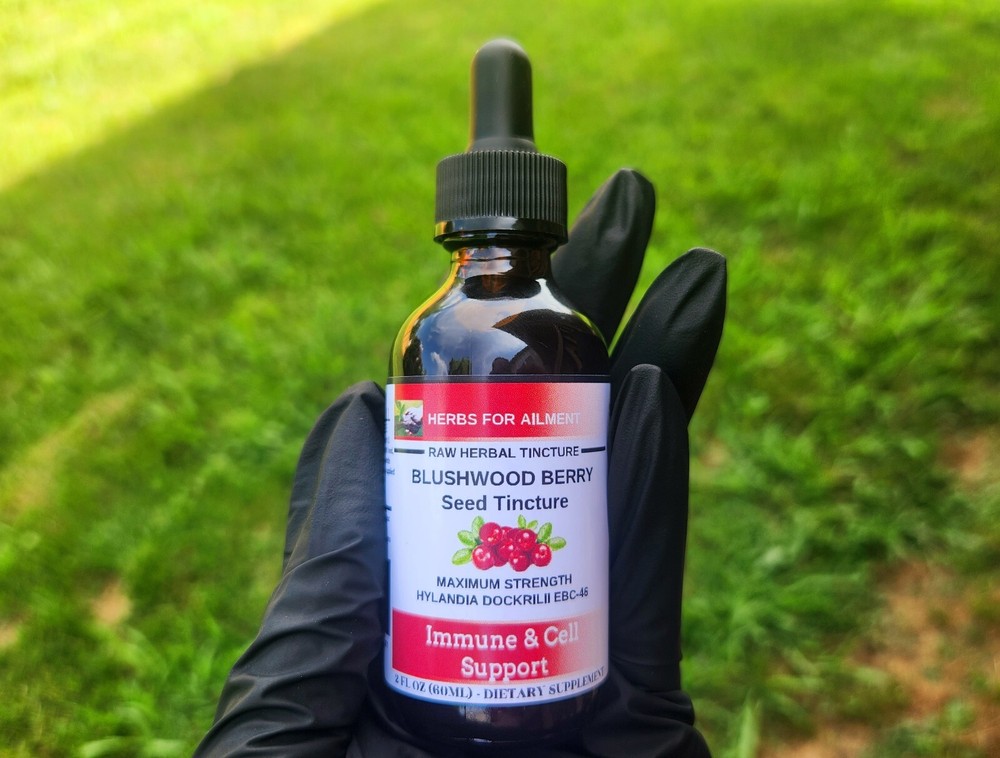 Blushwood Berry EBC46 Tincture/Immune/Cell Support/Oral/Topical